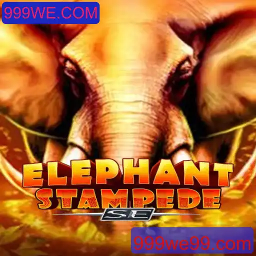 Explorando o Mundo de ElephantStampedeSE